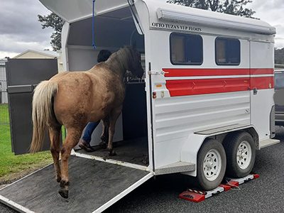 horse Floats